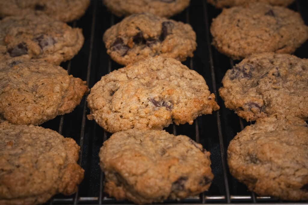 chocolate chip oatmeal cookies