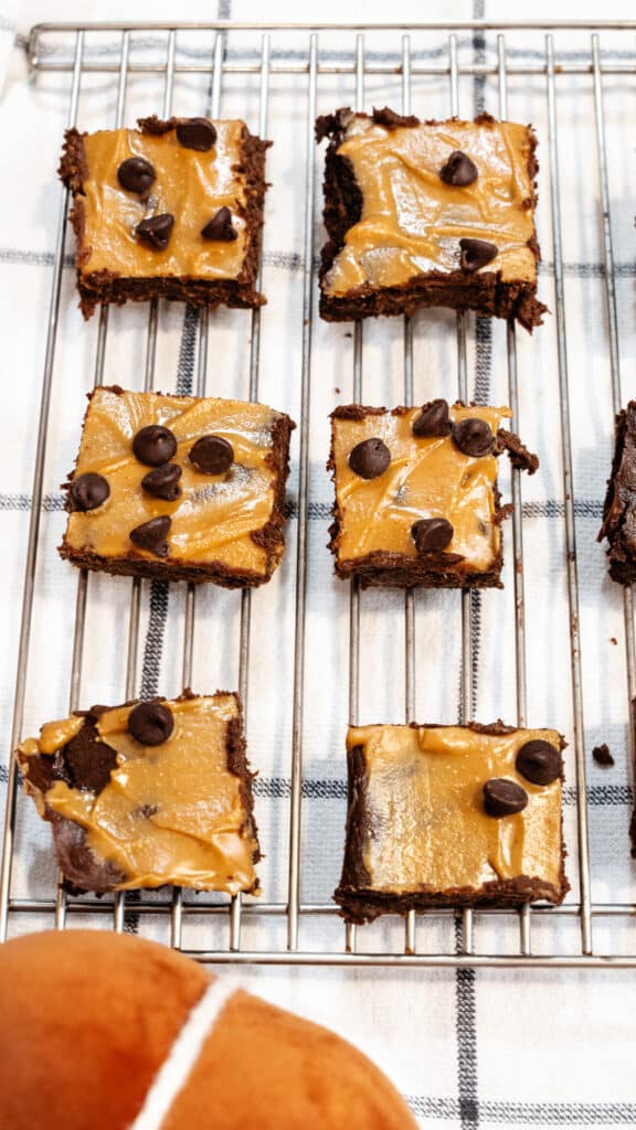 Pumpkin Protein Brownies