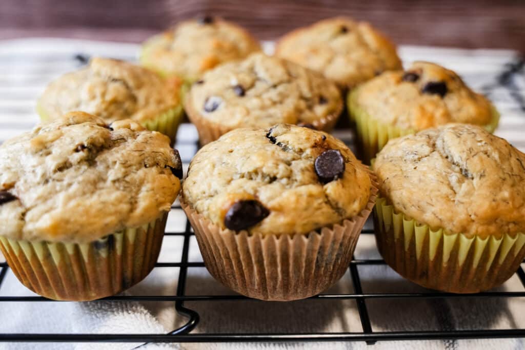 Banana Chocolate Chip Sourdough Muffins